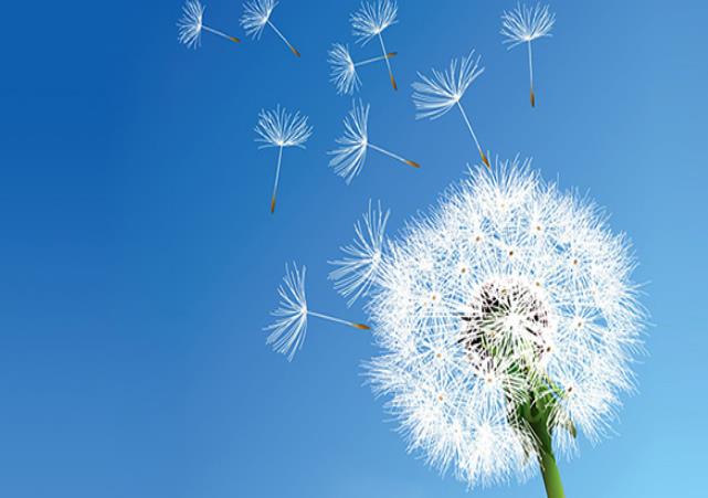 幼兒園、中小學等教育培訓機構安裝單向流新風系統(tǒng)方案